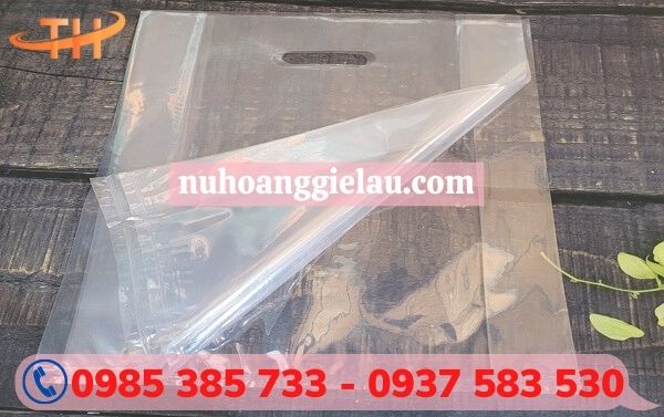 túi hột xoài trong suốt túi hột xoài trong suốt