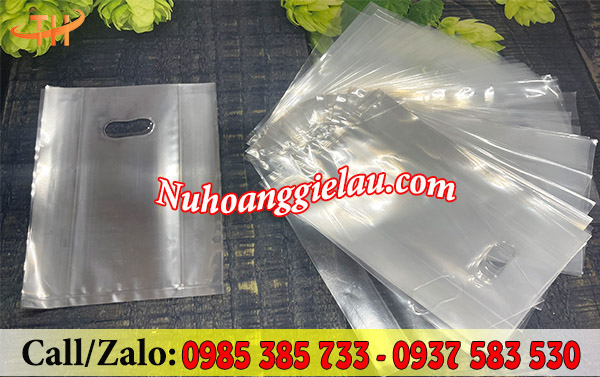 Túi hột xoài trong suốt Túi hột xoài trong suốt