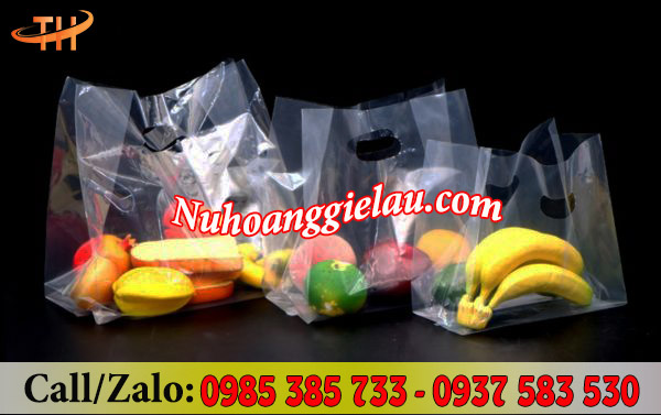 Túi xoài trong suốt đựng hàng hoá tăng tính thẩm mỹ Túi xoài trong suốt đựng hàng hoá tăng tính thẩm mỹ
