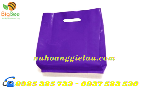 túi hột xoài đựng hàng sang trọng