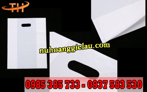 túi hột xoài trắng sữa tiện lợi túi hột xoài trắng sữa tiện lợi