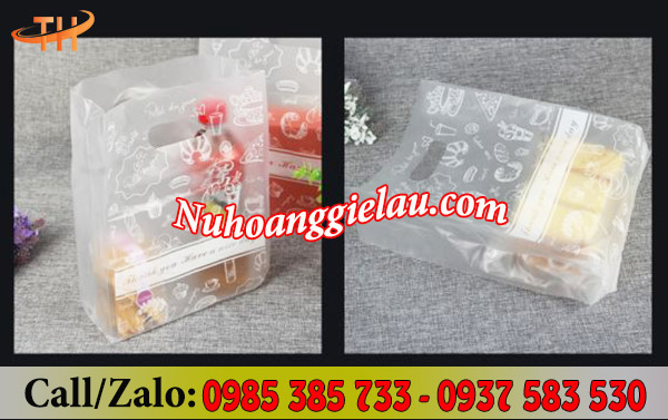 Túi hột xoài trong suốt in hình theo yêu cầu Túi hột xoài trong suốt in hình theo yêu cầu