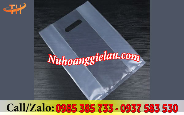 Túi xoài trong suốt chất lượng Túi xoài trong suốt chất lượng