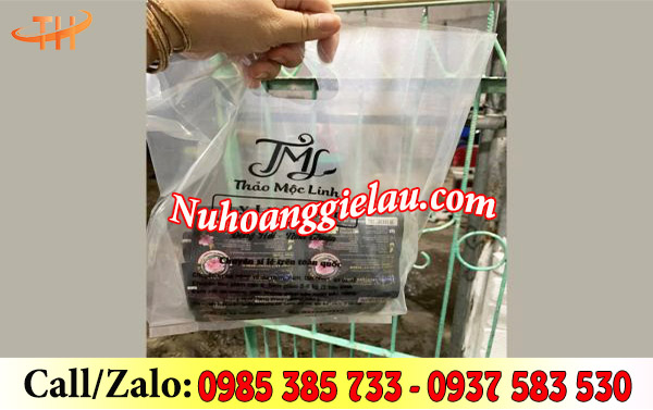 Túi hột xoài PP in Túi hột xoài PP in