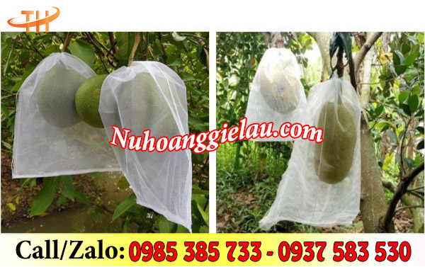 Túi bọc trái cây cho vụ mùa bội thu  Túi bọc trái cây cho vụ mùa bội thu