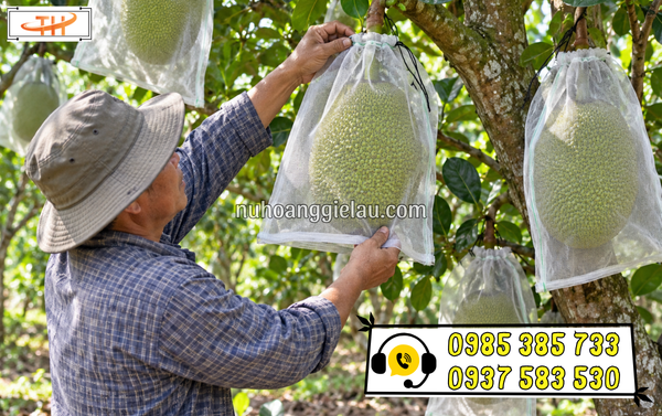 Túi lưới bao mít đa dạng với nhiều kích cỡ Túi lưới bao mít đa dạng với nhiều kích cỡ