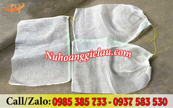 Sử dụng túi trùm trái cây cho vụ mùa bội thu Sử dụng túi trùm trái cây cho vụ mùa bội thu