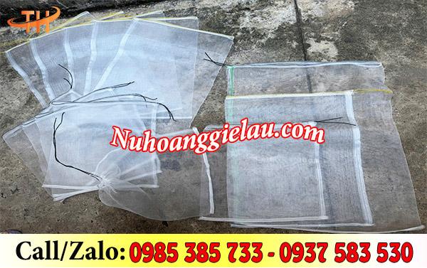 Túi bọc trái cây Thu Hồng đủ size  Túi bọc trái cây Thu Hồng đủ size