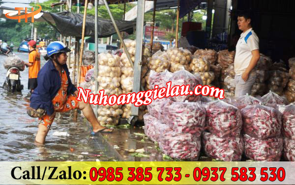 Túi nilon 2 quai có đục sẵn lỗ được sử dụng để đựng nhiều loại nông sản Túi nilon 2 quai có đục sẵn lỗ được sử dụng để đựng nhiều loại nông sản