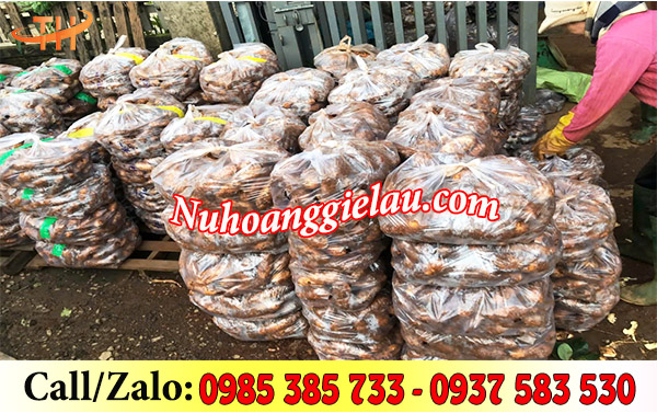 Túi nilon đục lỗ đựng nông sản tại vựa Túi nilon đục lỗ đựng nông sản tại vựa