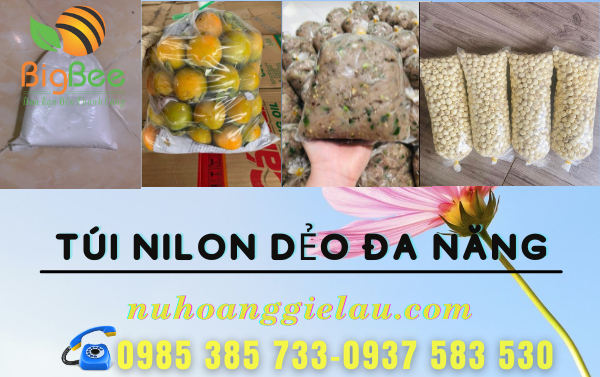 tui-nilon-deo-dung-cac-loai-thuc-pham