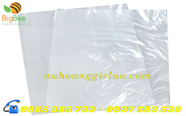 túi PP trong suốt tiện dụng