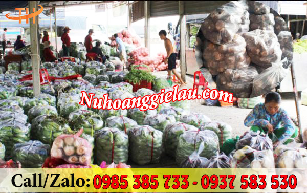 Túi nilon đục lỗ bảo quản tốt nông sản Túi nilon đục lỗ bảo quản tốt nông sản