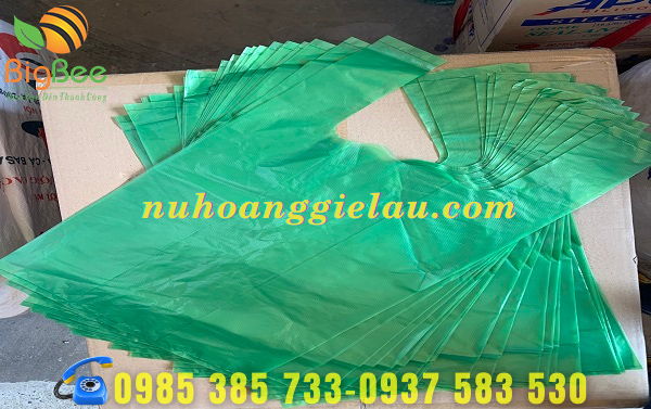 túi nilon hai quai màu xanh giá rẻ