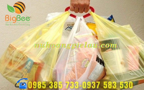 tui-nilon-hi-quai-tien-dung