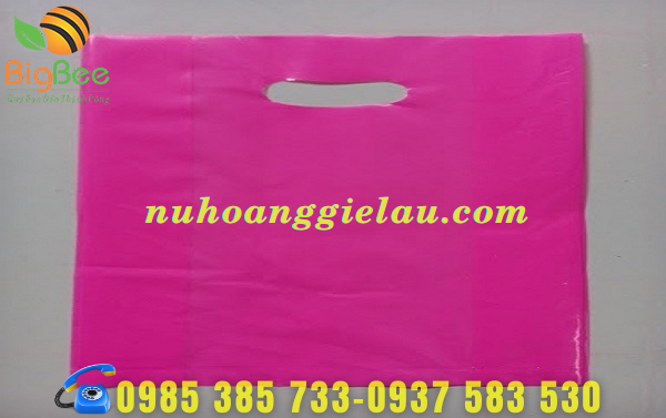 túi nilon hột xoài với thiết kế hình chữ nhật