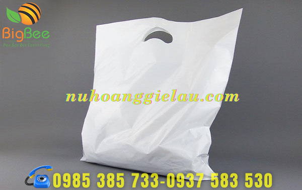 túi nilon hột xoài được ép chặt phần đấy túi