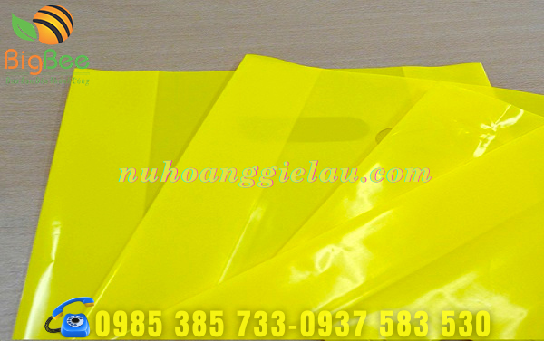 túi nilon hột xoài siêu đẹp