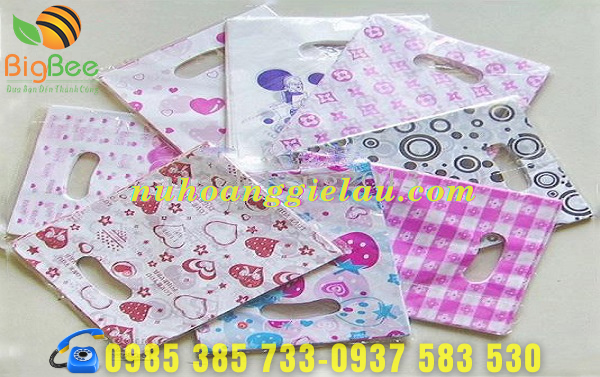 túi nilon hột xoài nhiều mẫu mã đẹp