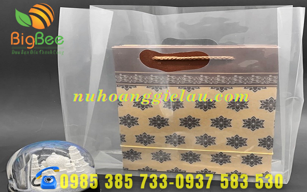 tui-nilon-pp-ben-chac-chan