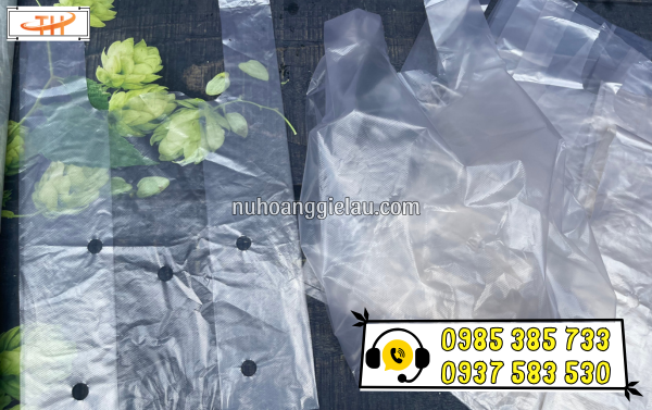 Túi nilon đựng nông sản được đục sẵn các lỗ tròn trên túi Túi nilon đựng nông sản được đục sẵn các lỗ tròn trên túi