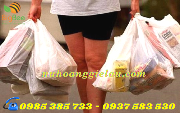 túi tiện dụng khi mua hàng