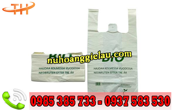túi nilon in hình túi nilon in hình