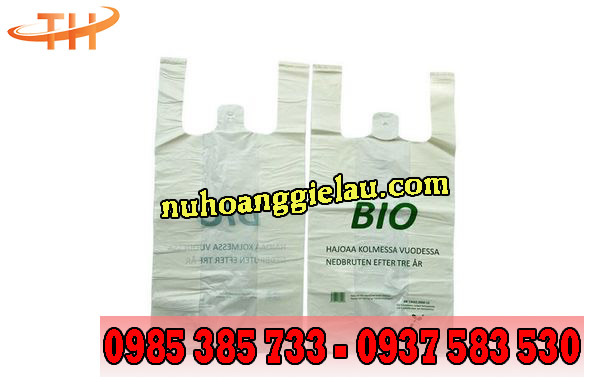 túi nilon hai quai in hình giá rẻ tại Thu Hồng túi nilon hai quai in hình giá rẻ tại Thu Hồng