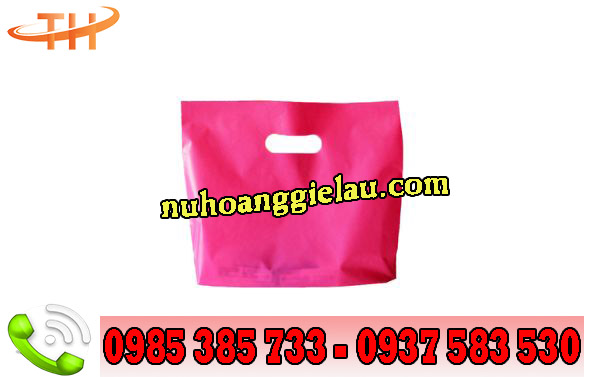 túi pe đựng quần áo túi pe đựng quần áo