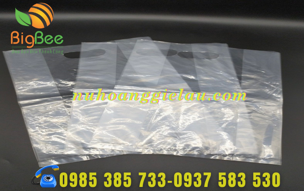 tui-pe-hot-xoai-trong-suot