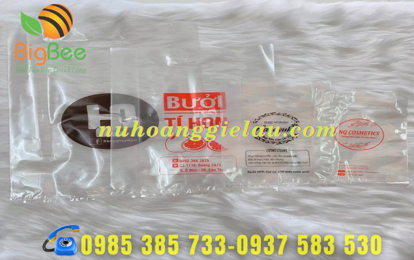 tui-pe-hot-xoai-in-an-logo-cac-loai