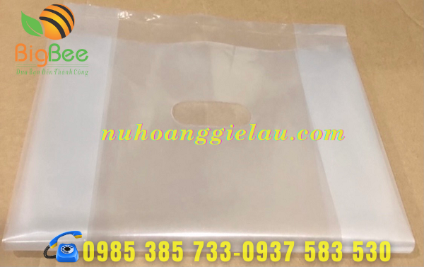 tui-pe-hot-xoai-trong-suot-dung-nhieu-vạt-dung