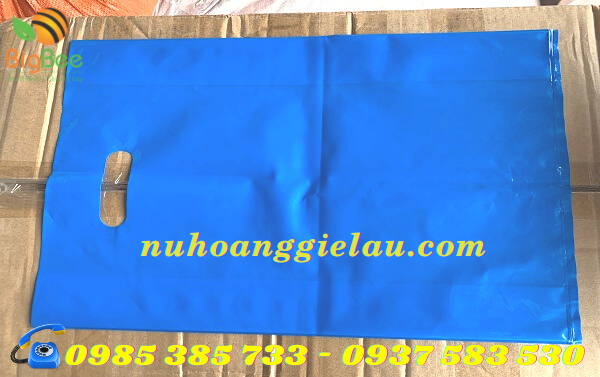 túi hột xoài nhiều màu sắc