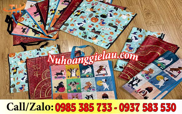 Túi PP dệt siêu thị đa dạng mẫu Túi PP dệt siêu thị đa dạng mẫu