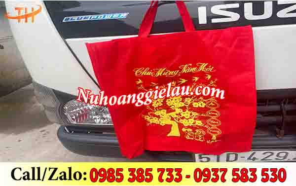 Túi vải đựng quà Tết sang trọng Túi vải đựng quà Tết sang trọng