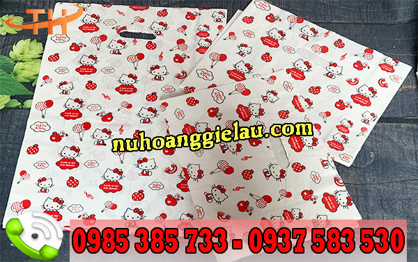 Túi hột xoài in hình HD giá rẻ tại xưởng Túi hột xoài in hình HD giá rẻ tại xưởng