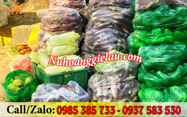 Túi xốp 2 quai đựng nông sản các loại Túi xốp 2 quai đựng nông sản các loại