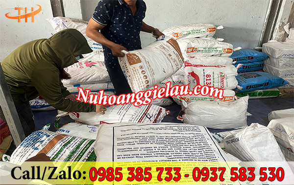 Soạn đơn túi xốp cho khách Soạn đơn túi xốp cho khách