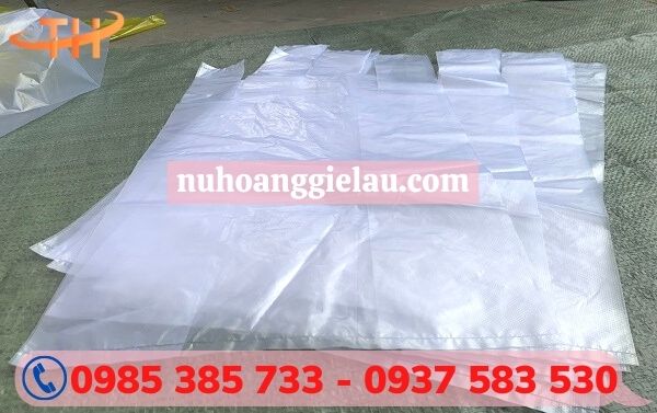 Túi xốp hai quai Thu Hồng giá rẻ chất lượng Túi xốp hai quai Thu Hồng giá rẻ chất lượng