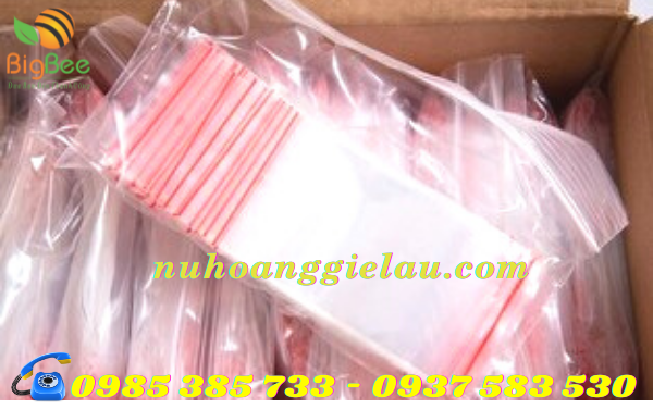 túi zipper khóa chỉ đỏ Thu Hồng