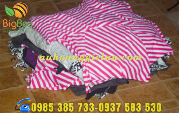 gie-lau-co-san-tai-thu-hong