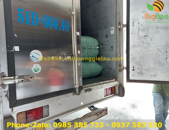 giao quéo vải lau