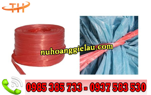 dây ni lông nem cuộn đỏ dây ni lông nem cuộn đỏ