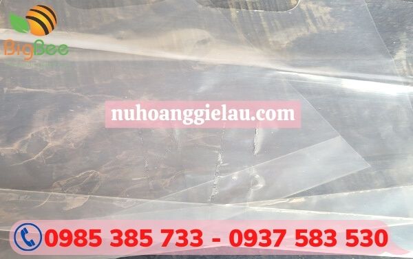 túi đựng thức uống hai vách ngăn túi đựng thức uống hai vách ngăn