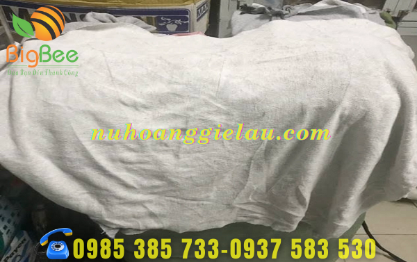 kich-thuoc-gie-lau-da-dang