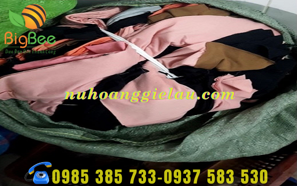 xuong-phan-phoi-gie-lau-thu-hong