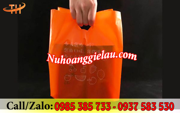 Túi hột xoài mang xách an toàn Túi hột xoài mang xách an toàn