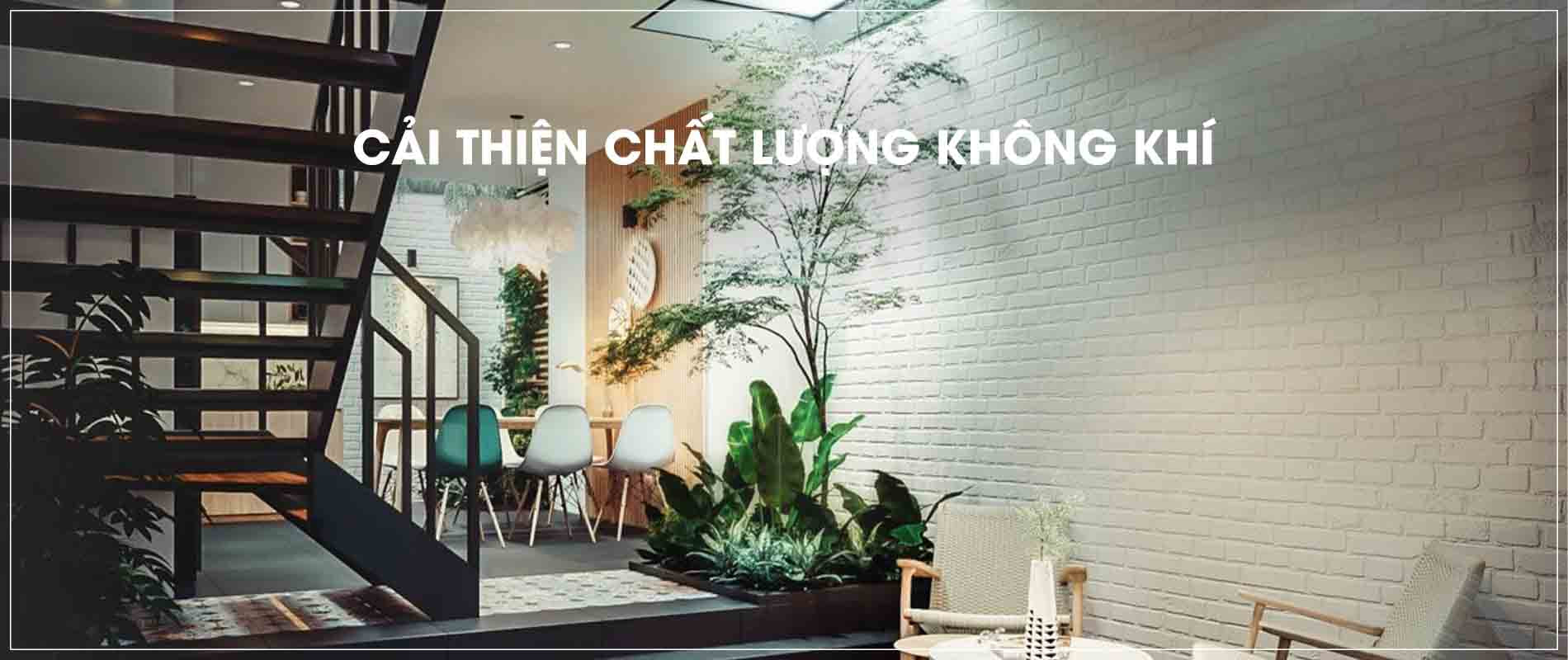 Giếng trời là gì? Ưu điểm và nhược điểm khi xây dựng giếng trời khi xây nhà trọn gói Bình Dương