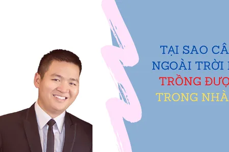 Tại Sao Cây Ngoài Trời Lại Trồng Được Trong Nhà | Nguyễn Anh Dũng | CEO Butecco Tại Sao Cây Ngoài Trời Lại Trồng Được Trong Nhà | Nguyễn Anh Dũng | CEO Butecco