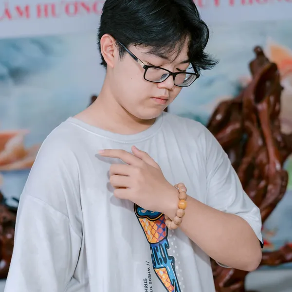 Vòng Tay Trầm Hương Mix Ngọc Mina Vàng 16ly